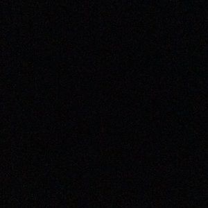 Meet your Posher, Patty